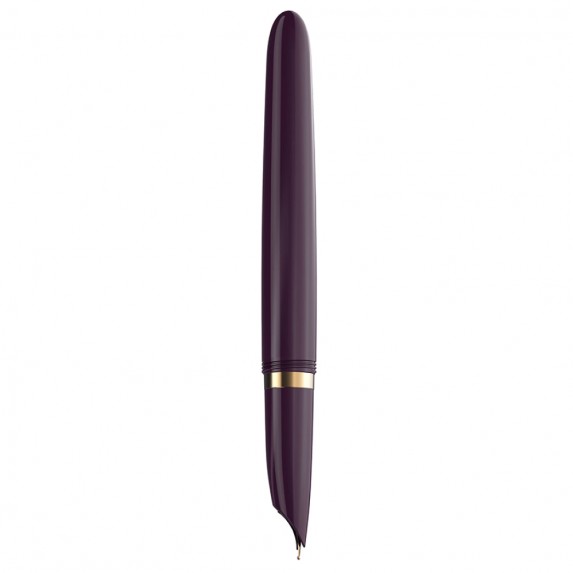Ручка перьевая Parker 51 Premium - Plum GT
